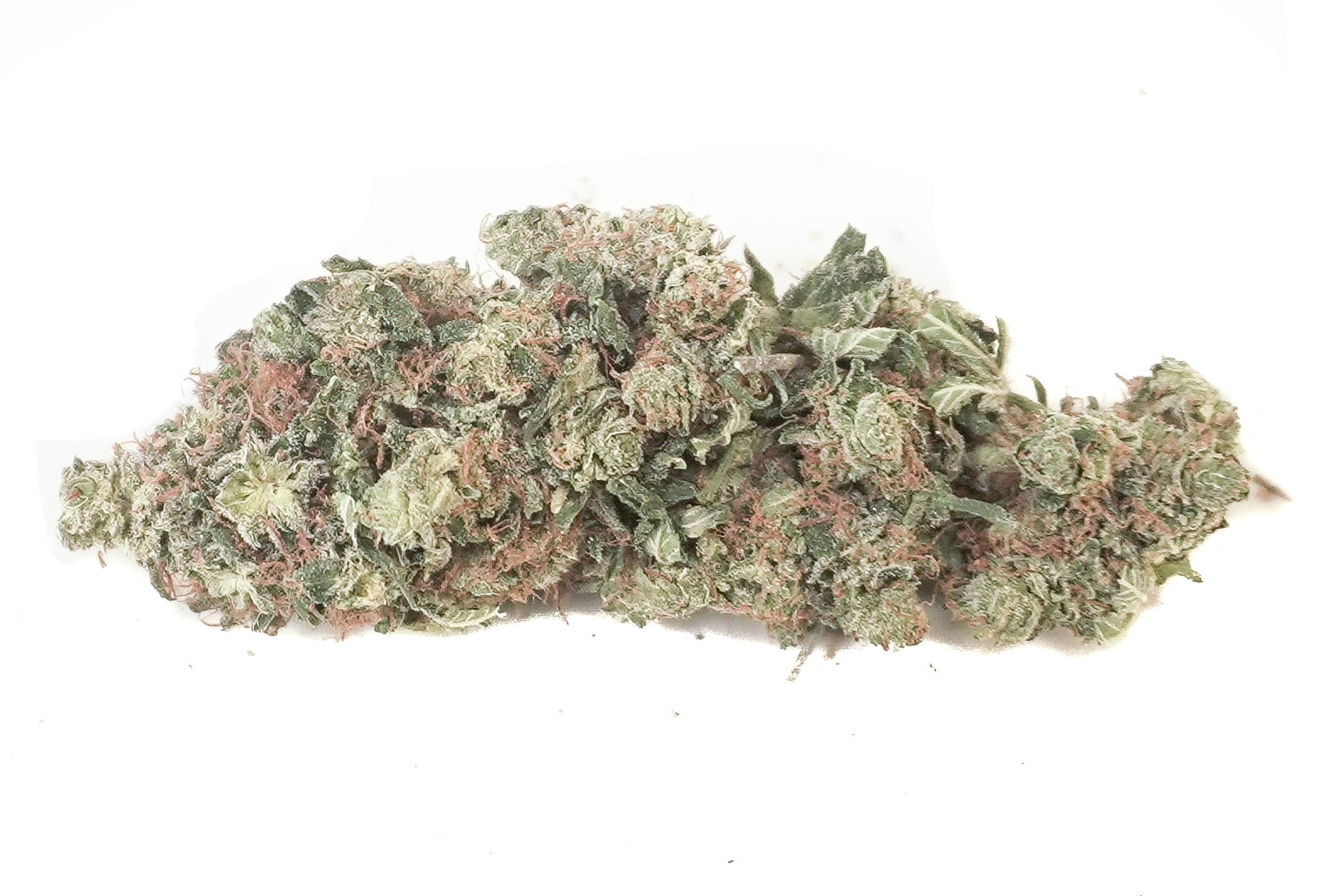 Purple OG (Bulk)