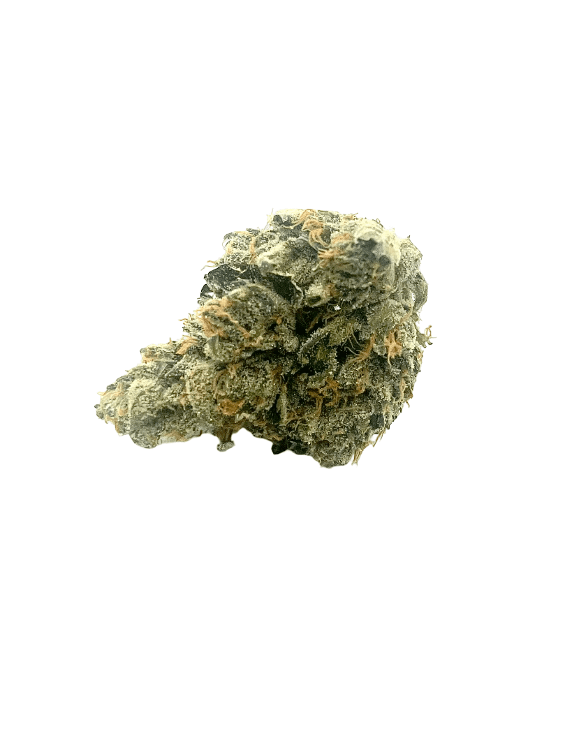 Blue Zushi AAAA cannabis buds with blue-tinted white trichomes and orange hairs