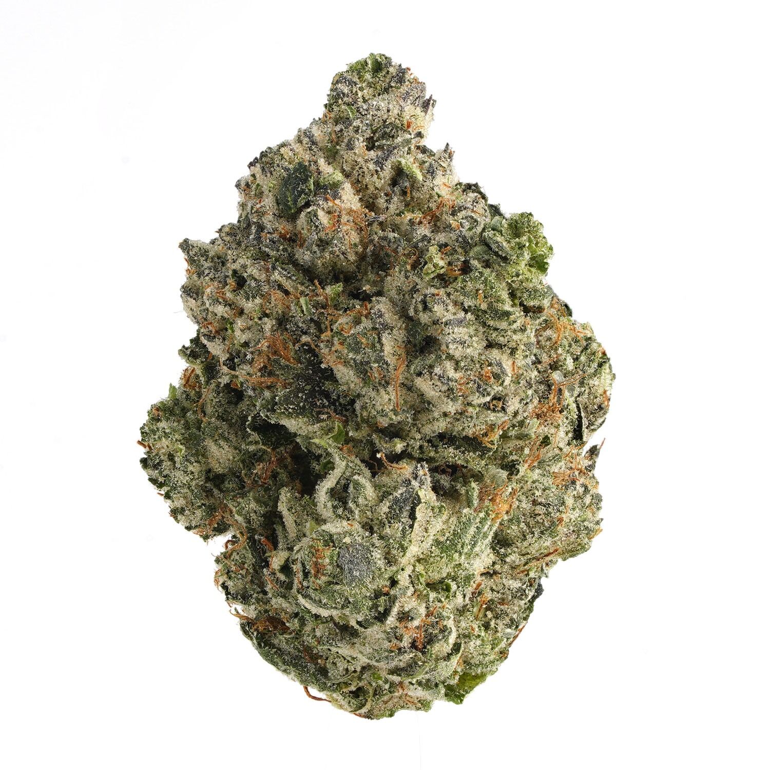 El Muerte (Bulk)