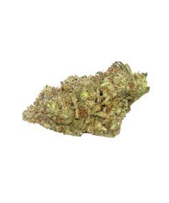 Jet Fuel Gelato