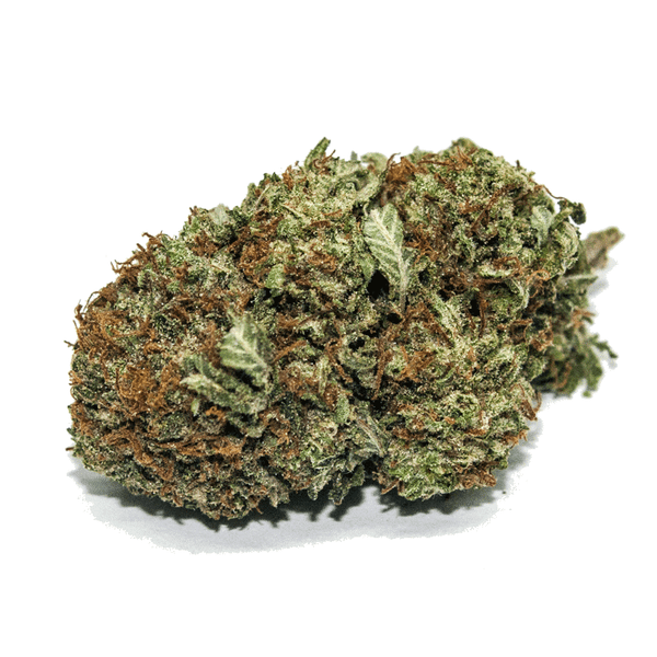 Purple Kush