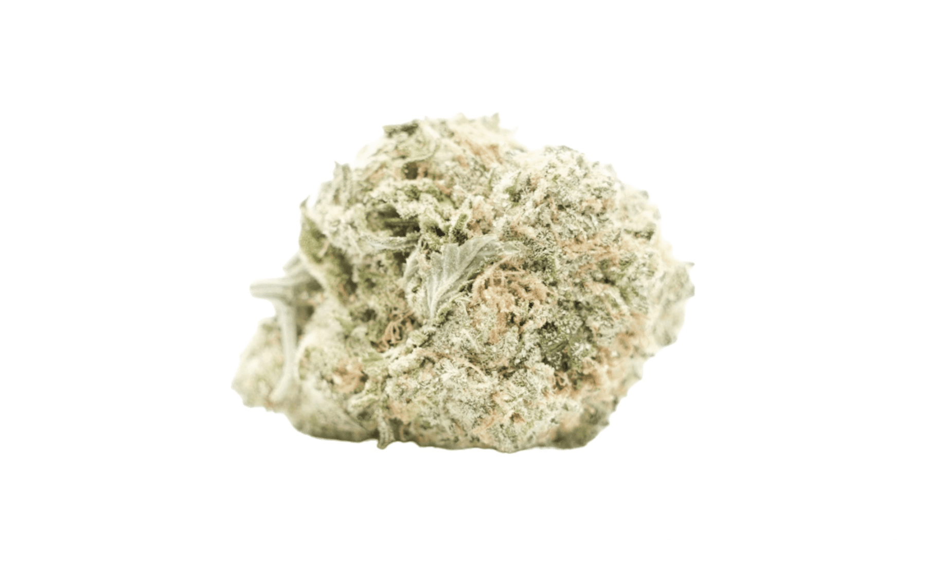 Girl Scout Cookies